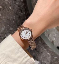 OMEGA Solid Stainless Steel 904L 40mm Watch